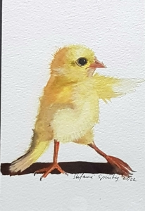 Sportchicken2